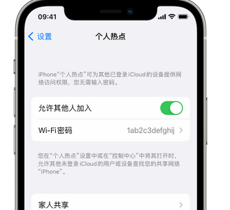 宿迁apple服务站点分享iPhone上个人热点丢失了怎么办 