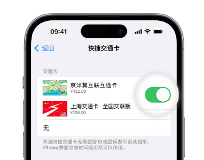 宿迁apple维修点分享iPhone上更换Apple Pay快捷交通卡手绘卡面 