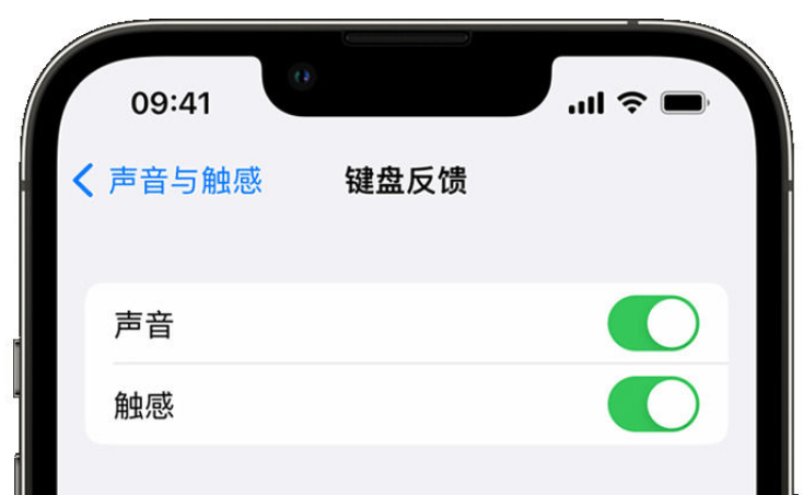 宿迁苹果手机维修分享iPhone 14触感键盘使用方法 