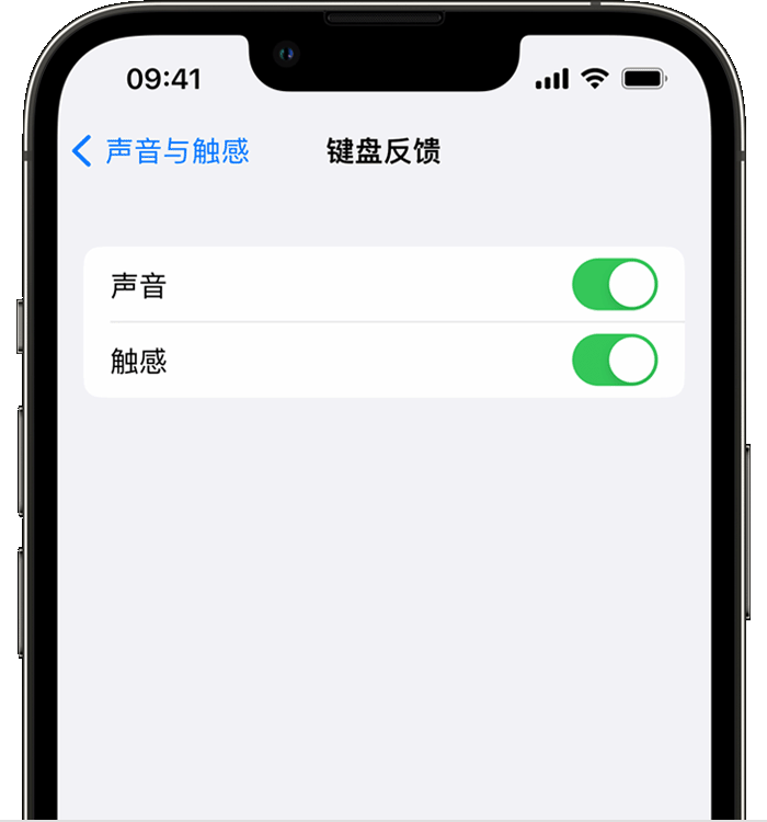 宿迁苹果14维修店分享如何在 iPhone 14 机型中使用触感键盘 