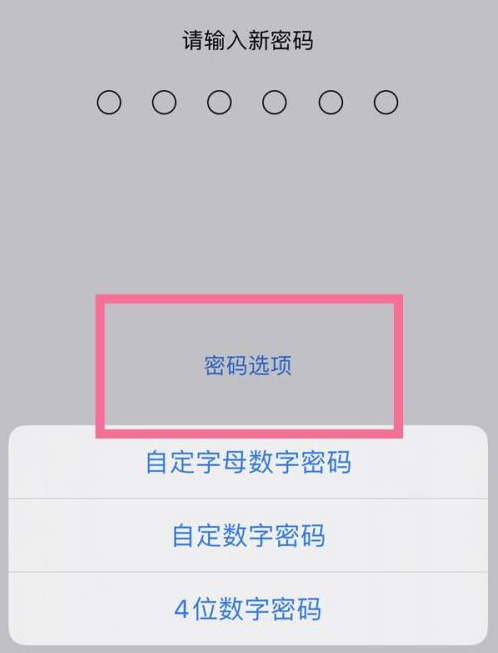 宿迁苹果14维修分享iPhone 14plus设置密码的方法 