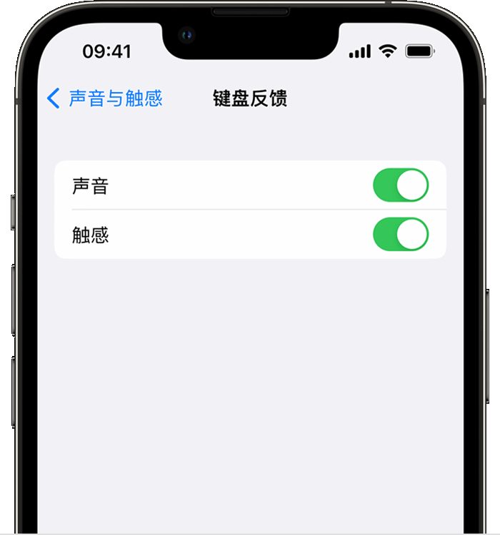 宿迁苹果14维修分享iPhone 14 系列机型如何开启键盘声音或触感反馈 
