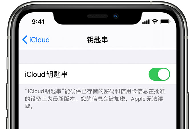 宿迁苹果手机维修分享在 iPhone 上开启 iCloud 钥匙串之后会储存哪些信息 