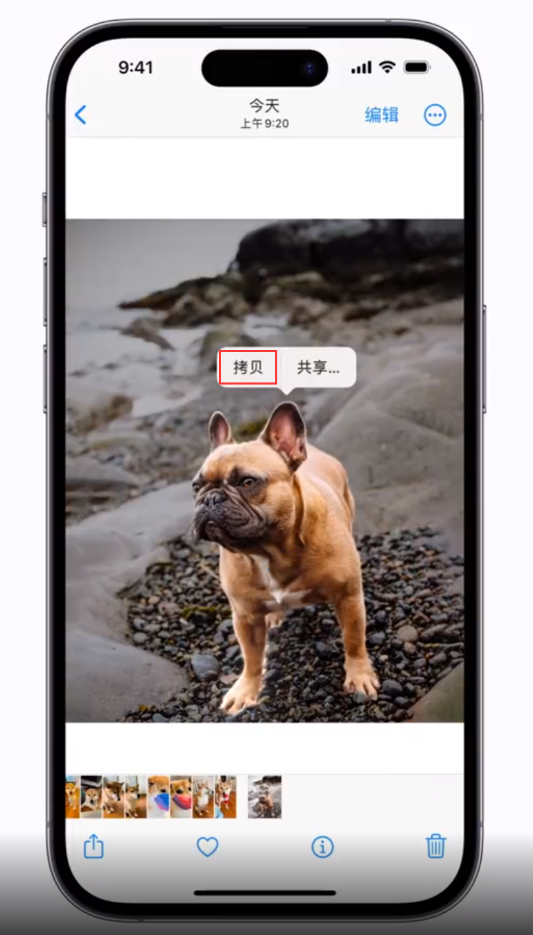 宿迁苹果手机维修分享 iOS 16 自带一键抠图功能 